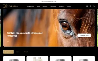 Ekinoxa — Project preview